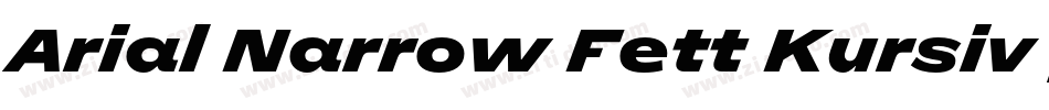Arial Narrow Fett Kursiv (2)字体转换